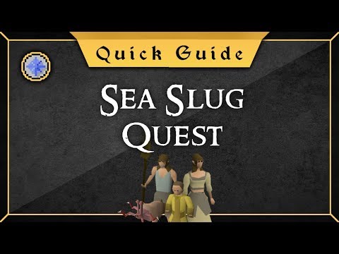 [Quick Guide] Sea slug