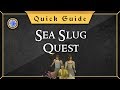 [Quick Guide] Sea slug
