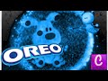 Blue S Clues Blue Talks And Auntie Litter DVD Trailer In OreoFlangedSawChorded