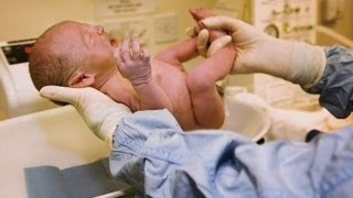 Afla la Doctor MIT daca celulele stem sunt o solutie reala!