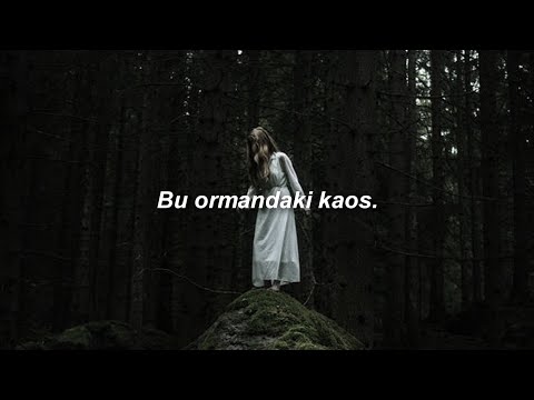 Pim Stones - Chaos In The Jungle (Türkçe Çeviri)