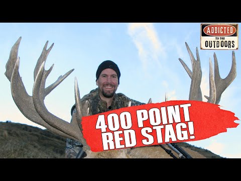 HUGE NEW ZEALAND RED STAG HUNT