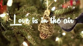 When Chai Met Toast - Run Closer (Lyric Video)