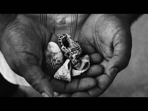 BNegão feat. Bernardo Bosisio – Morena do Mar (Clipe Oficial)