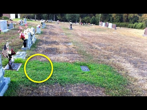Mother Didn't Understand Why Her Son's Grave Was Green – She Couldn't