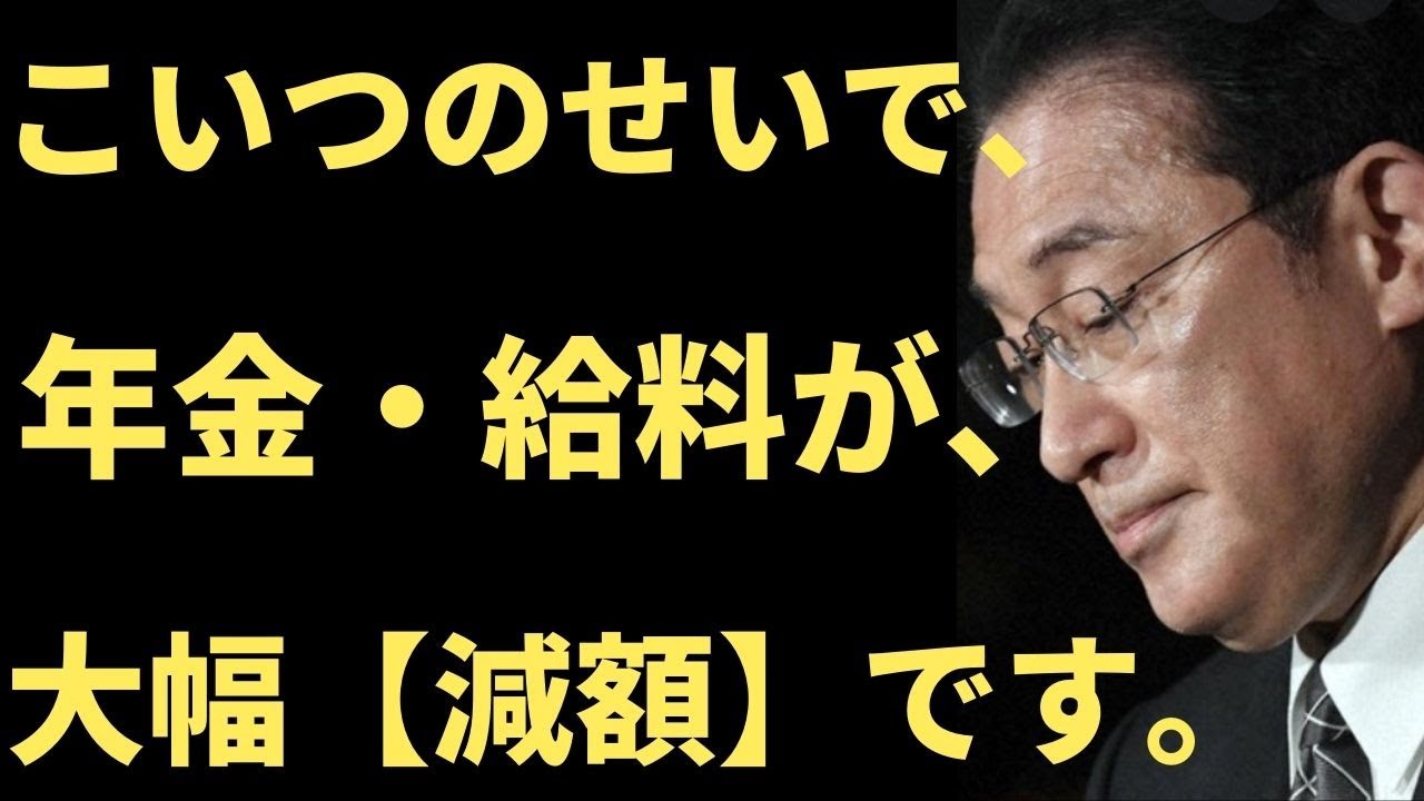 【年金　給料】岸田政権のせいで、大幅減額、〇〇円減額しています。この現状を知ってください。