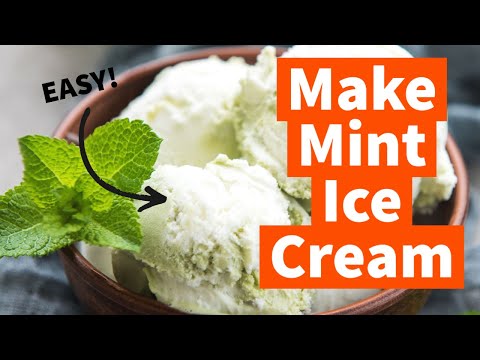 The Best Homemade Mint Chocolate Chip Ice Cream ...in 90 seconds!