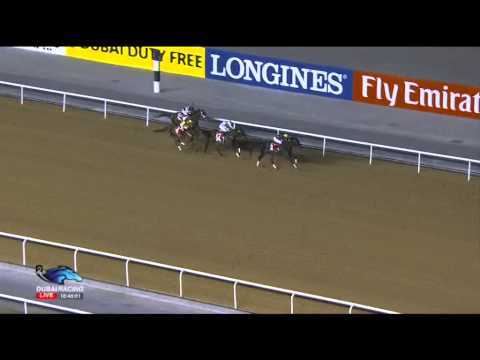 06.11.2014 Meydan (Dubai-UAE) 1.Race Emirates Skycargo - Maiden  Distanz: 1.400 m