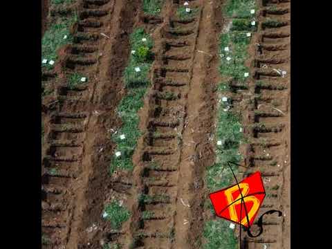 Lado B do Rio #184 - Roleta do Genocídio