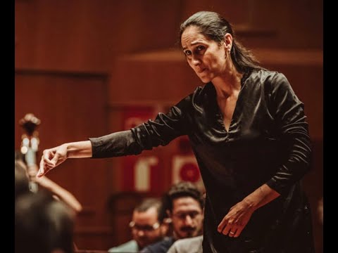 Beethoven - Concerto Triplo - Simone Menezes, K soloists, Vienna Chamber Orchestra