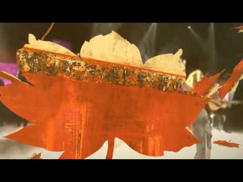 MelodyVision 23 - WINNER - ICELAND