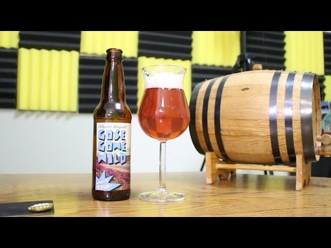 UFC Fight Night 108 Beer Pairing with Flyin' Brian J - Gose