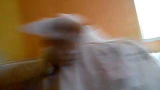 Download lagu Fathur chan mp3