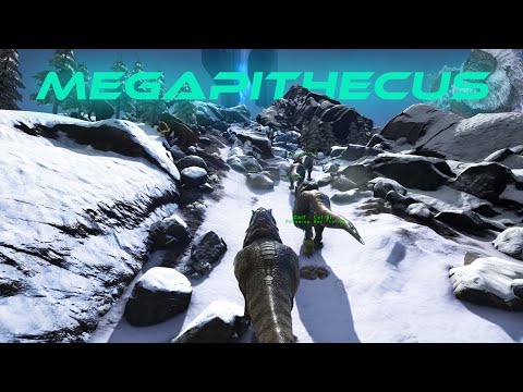 The Megapithecus - Ark Survival Evolved