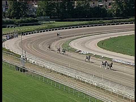 Trotto 04/10/2019 - 1ª prova di qualifica