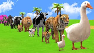 Long Slide Game with Cow Elephant Gorilla Hippopotamus Tiger 3d Animal Game Funny 3d Animals