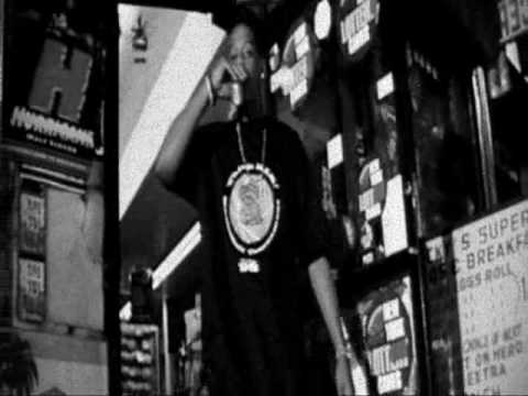 Jay-z Feat Beanie sigel - Where Have You Been (Video)
