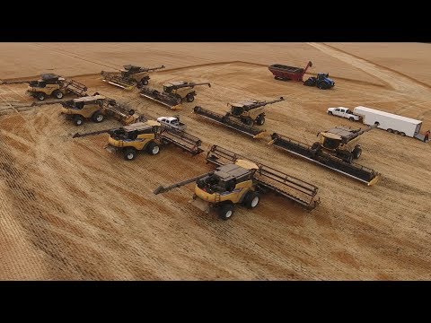 Wheat harvest 2017. Canada. MY AGRO #MYAGROTOURS