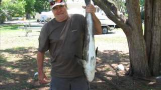 preview picture of video 'Florida Fishing with Alex 2009'