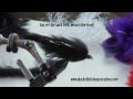Black Articulated Leech Time Lapse HD