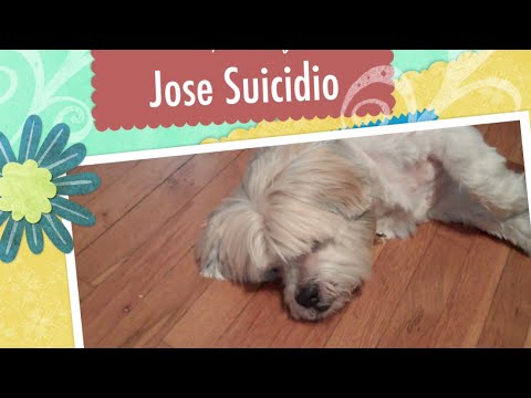 Henry's Kitchen 25 - Tuna Fried Rice