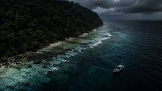 Download lagu One Person Could Wipe Out This Entire Island mp3