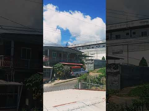 el copé de la pintada #cocle #penonome #c2 #rootsreggae #leon