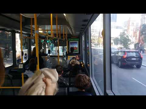 Transperth Bus No. 1804