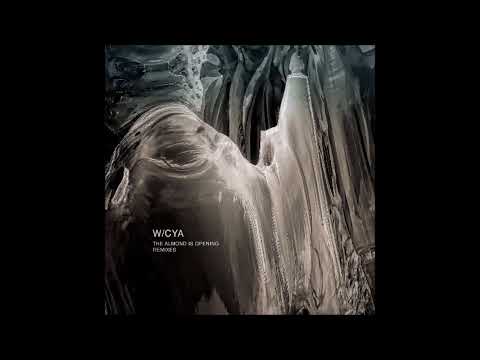 W/CYA - Abstruso Two (d_func. Remix)