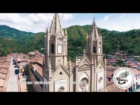 TINTO, COLOMBIAN COFFEE - HELBERT HERNANDEZ - EXTENDED VIDEO (LANDSCAPES OF SALAZAR)