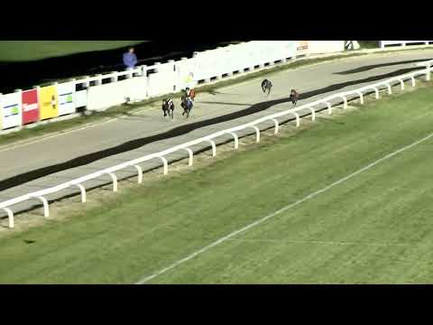 2022.09.11. 16. futam - Európa Derby Consolation