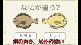 【アプリ実況】アレとコレの違い！が分かる男になる！Q31～Q40