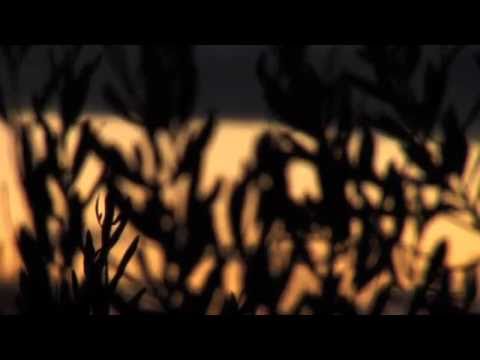 GALANTINO, il film 2010