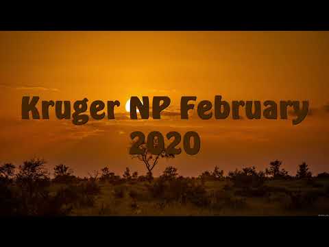 KRUGER NP FEBRUARY 2020