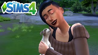 How To Adopt A Pet 2023 (Get A Dog Or Cat) - The Sims 4