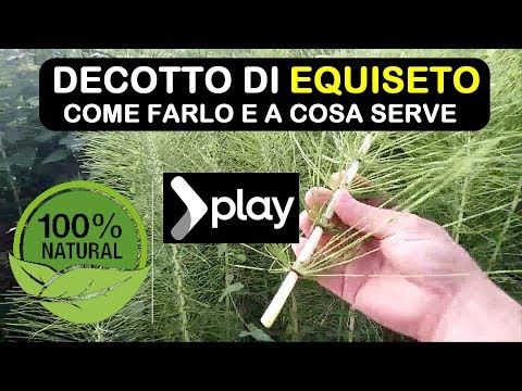 Come precisamente definire vermi al bambino Dopo che un prazitel striscia