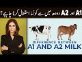 What Is A1 and A2 Milk? | Dr Sahar Chawla