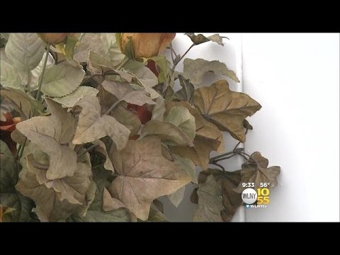 Company Plans To Use Plant DNA To Track Down Stolen Valuables