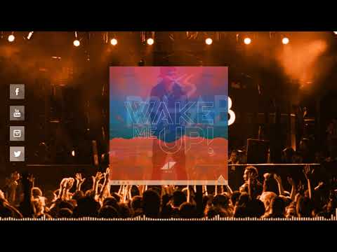 R3hab & Skytech vs. Avicii ft. Aloe Blacc - What You Do vs. Wake Me Up (R3HAB Mashup)