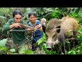 Catching Wild Boars with Simple Handmade Traps – Making Smoked Pork  | SURVIVAL ALONE