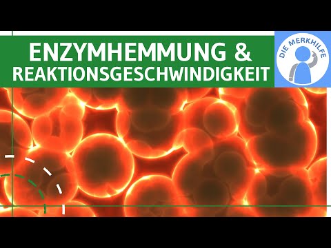 Enzyme inhibition & reaction rate simply explained - Inhibition of enzyme activity - Metabolism