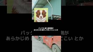 政治は生活！オトナ女子会トーク♪主権者の権利を取り戻したいわよね♪食材納入業者の立場から見た学校給食の現場とは？【後編】#作業用 #聞き流し 【260925】