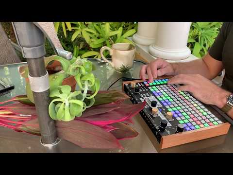 subtropic of cancer (Synthstrom Deluge jam)