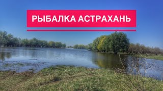 Станья астраханская область рыбалка дикарем за весенней воблой