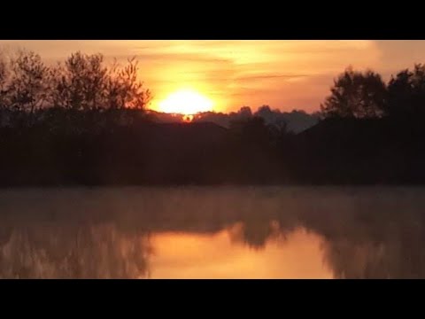 ŘEKA LABE(ELBE) + KRMENÍ+ TĚŽCE PŘÍSTUPNÁ MÍSTA