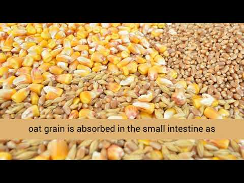 download lagu mp3 mp4 Pre Cooked Mixed Grains, download lagu Pre Cooked Mixed Grains gratis, unduh video klip Pre Cooked Mixed Grains