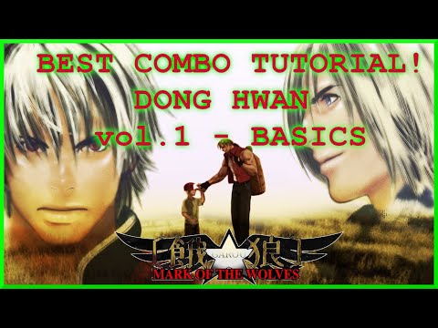 KIM DONG HWAN GAROU TUTORIALS - BASIC COMBOS