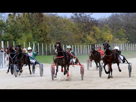 Kasačke trke Sombor - 4. trka - Konjički klub "Vojvođanin"-Sombor - 23.10.2022.