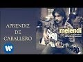 Melendi - Aprendiz de caballero (audio) 