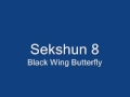 Sekshun 8 Black Wing Butterfly 